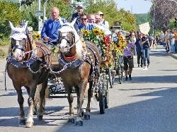 Traditioneller Pferdeumzug - Zwei geschmückte Pferde ziehen eine Kutsche